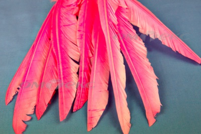 Декоративный Пучок из перьев, перо 25см/розовый - купить в Ангарске. Цена: 14.40 руб.