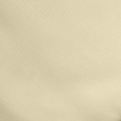 Ткань подкладочная Таффета 14-1014, антист., 53 гр/м2, шир.150см, цвет бежевый - купить в Ангарске. Цена 61.09 руб.