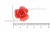 Украшение "Розы малые №1" 20мм - купить в Ангарске. Цена: 32.82 руб.