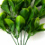 Трава искусственная -1, шт (эвкалипт лист 32 см/8 см)				 - купить в Ангарске. Цена: 169.93 руб.