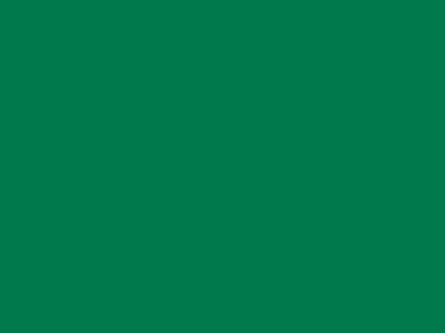 85 см № 258 яр. зеленый спираль (G) сорт-2 - купить в Ангарске. Цена: 16.97 руб.