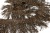 008-коричневый, Бахрома арт.001 шир.10см (упак.12+/-0,5м) - купить в Ангарске. Цена: 1 017.33 руб.