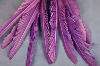 Декоративный Пучок из перьев, перо 25см/фиолетовый - купить в Ангарске. Цена: 12.19 руб.