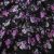 Плательная ткань "Фламенко" 20.1, 80 гр/м2, шир.150 см, принт растительный - купить в Ангарске. Цена 241.49 руб.