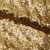 Сетка с пайетками №3, 188 гр/м2, шир.140см, цвет золотой - купить в Ангарске. Цена 454.12 руб.