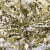 Трикотажное полотно, Сетка с пайетками, шир.130 см, #315, цв.-белый/золото - купить в Ангарске. Цена 693.39 руб.