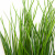 Трава искусственная -4, шт  (осока 50 см/8 см  7 листов)				 - купить в Ангарске. Цена: 130.73 руб.