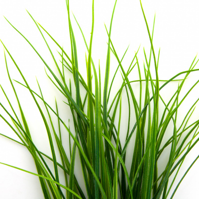 Трава искусственная -3, шт (осока 50 см/8 см  5 листов)				 - купить в Ангарске. Цена: 124.17 руб.