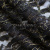 Кружевное полотно XD LACE 1-4, 80 гр/м2, шир.150см, цвет чёрный - купить в Ангарске. Цена 248.45 руб.